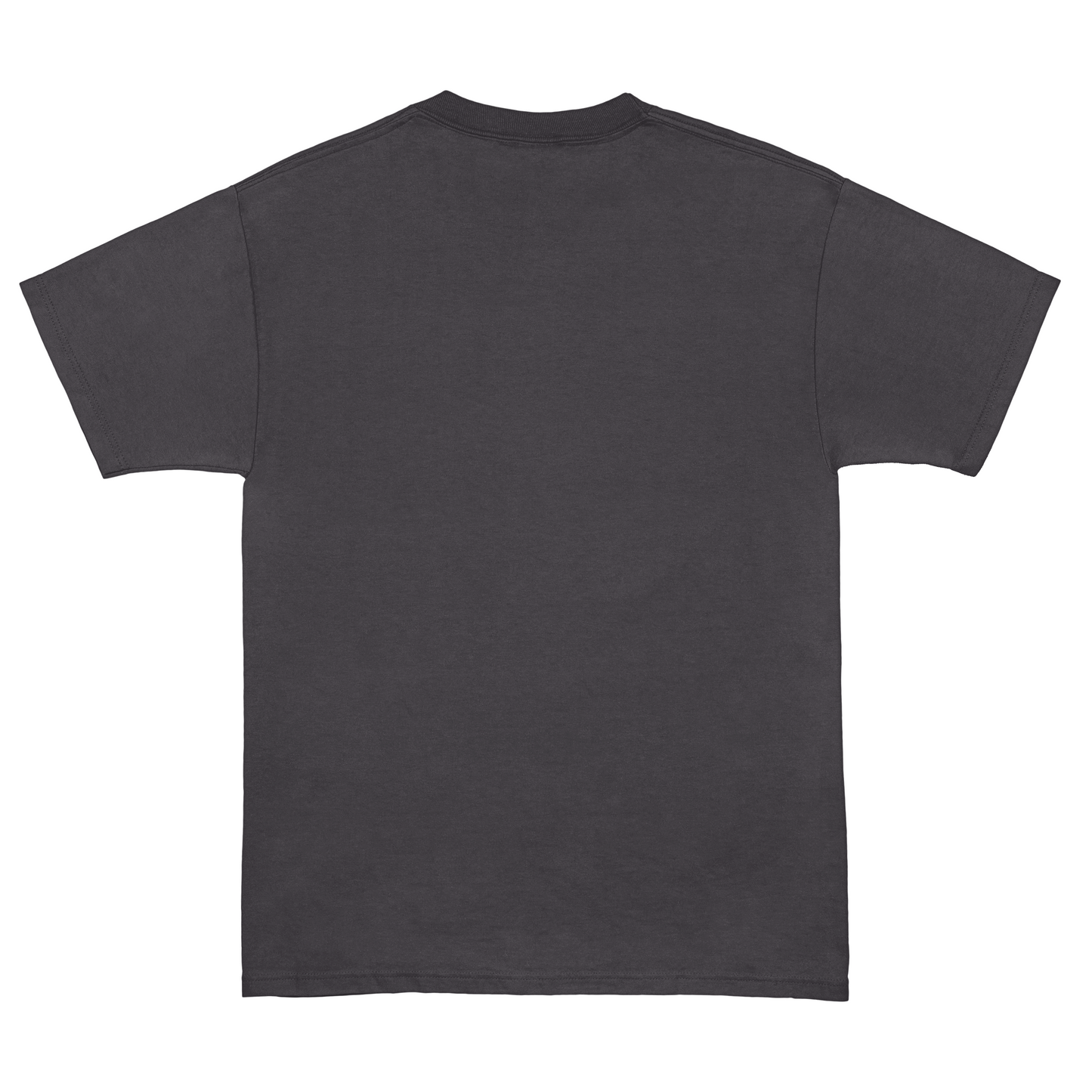Eeveelympics x Denali Market Gray Alternate Logo Tee